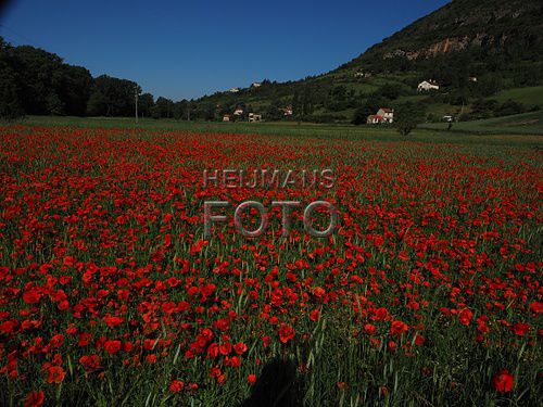 millau-1505-0967.JPG