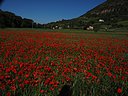 millau-1505-0967.jpg